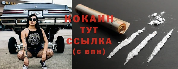 крисы Горно-Алтайск