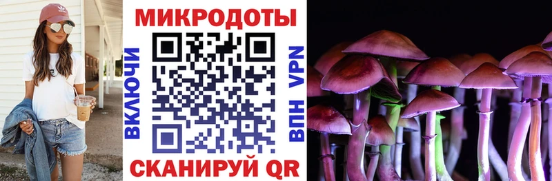 Галлюциногенные грибы Psilocybe  наркота  Данков 